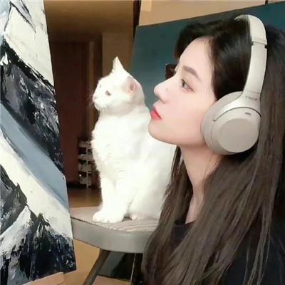 万紫千红花弄蝶
